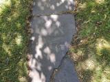 image of grave number 764152